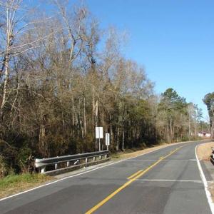 Photo of SOLD!  45 Acres of Hunting and Timber Land For Sale in Columbus County NC!