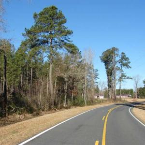 Photo of SOLD!  45 Acres of Hunting and Timber Land For Sale in Columbus County NC!