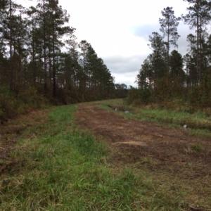 Photo of UNDER CONTRACT!  158 Acres of Land for Sale in Jones County NC!