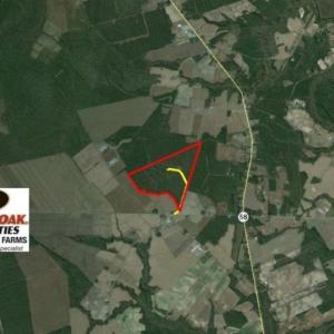 Photo of UNDER CONTRACT!  158 Acres of Land for Sale in Jones County NC!