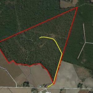 Photo of UNDER CONTRACT!  158 Acres of Land for Sale in Jones County NC!