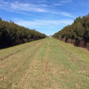 Photo of UNDER CONTRACT!  1.17 Acres of Land For Sale in Hyde County NC!