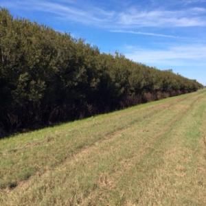 Photo of UNDER CONTRACT!  1.17 Acres of Land For Sale in Hyde County NC!