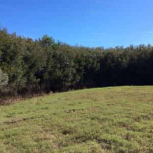 Photo of UNDER CONTRACT!  1.17 Acres of Land For Sale in Hyde County NC!