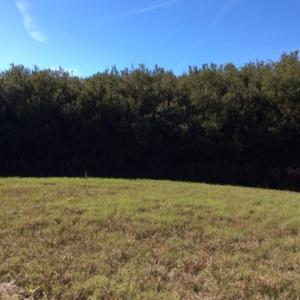 Photo of UNDER CONTRACT!  1.17 Acres of Land For Sale in Hyde County NC!