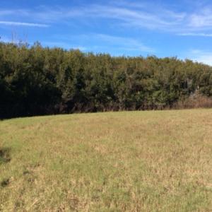 Photo of UNDER CONTRACT!  1.17 Acres of Land For Sale in Hyde County NC!