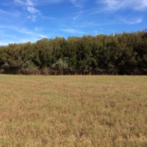 Photo of UNDER CONTRACT!  1.17 Acres of Land For Sale in Hyde County NC!