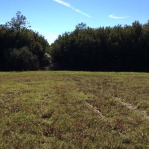Photo of UNDER CONTRACT!  1.17 Acres of Land For Sale in Hyde County NC!