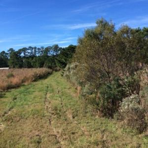 Photo of UNDER CONTRACT!  1.17 Acres of Land For Sale in Hyde County NC!