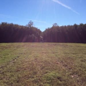 Photo of UNDER CONTRACT!  .76 Acres of Land For Sale in Hyde County NC!