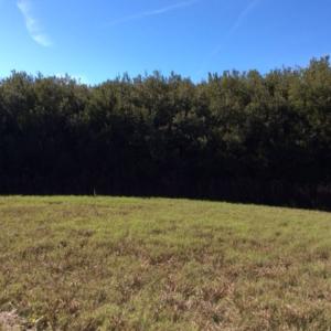Photo of UNDER CONTRACT!  .76 Acres of Land For Sale in Hyde County NC!