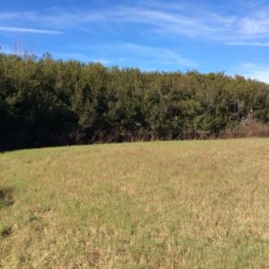 Photo of UNDER CONTRACT!  .76 Acres of Land For Sale in Hyde County NC!