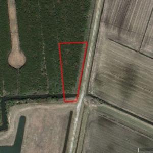 Photo of UNDER CONTRACT!  .76 Acres of Land For Sale in Hyde County NC!
