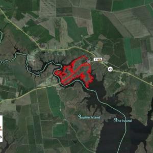 Photo of UNDER CONTRACT!  286 ac Waterfront Hunting Land for Sale in Hyde County NC!