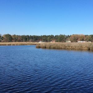 Photo of UNDER CONTRACT!  286 ac Waterfront Hunting Land for Sale in Hyde County NC!