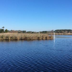 Photo of UNDER CONTRACT!  286 ac Waterfront Hunting Land for Sale in Hyde County NC!