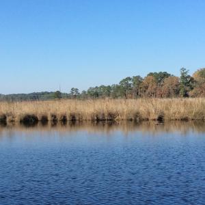 Photo of UNDER CONTRACT!  286 ac Waterfront Hunting Land for Sale in Hyde County NC!