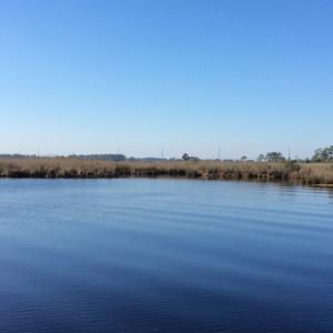 Photo of UNDER CONTRACT!  286 ac Waterfront Hunting Land for Sale in Hyde County NC!