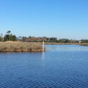 Photo of UNDER CONTRACT!  286 ac Waterfront Hunting Land for Sale in Hyde County NC!