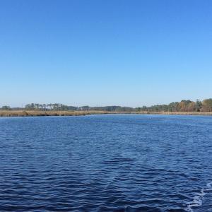 Photo of UNDER CONTRACT!  286 ac Waterfront Hunting Land for Sale in Hyde County NC!