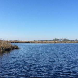 Photo of UNDER CONTRACT!  286 ac Waterfront Hunting Land for Sale in Hyde County NC!