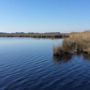 Photo of UNDER CONTRACT!  286 ac Waterfront Hunting Land for Sale in Hyde County NC!