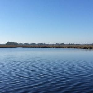 Photo of UNDER CONTRACT!  286 ac Waterfront Hunting Land for Sale in Hyde County NC!