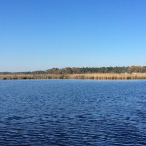 Photo of UNDER CONTRACT!  286 ac Waterfront Hunting Land for Sale in Hyde County NC!