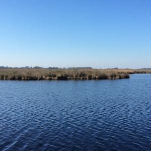 Photo of UNDER CONTRACT!  286 ac Waterfront Hunting Land for Sale in Hyde County NC!