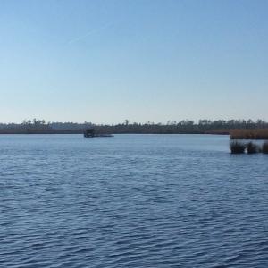 Photo of UNDER CONTRACT!  286 ac Waterfront Hunting Land for Sale in Hyde County NC!