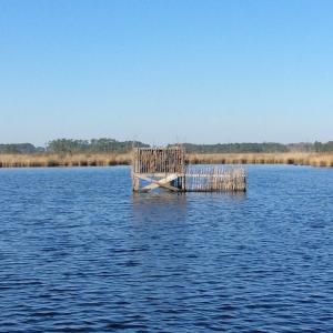 Photo of UNDER CONTRACT!  286 ac Waterfront Hunting Land for Sale in Hyde County NC!