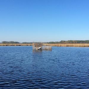 Photo of UNDER CONTRACT!  286 ac Waterfront Hunting Land for Sale in Hyde County NC!
