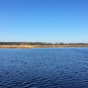 Photo of UNDER CONTRACT!  286 ac Waterfront Hunting Land for Sale in Hyde County NC!