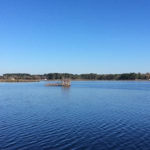 Photo of UNDER CONTRACT!  286 ac Waterfront Hunting Land for Sale in Hyde County NC!
