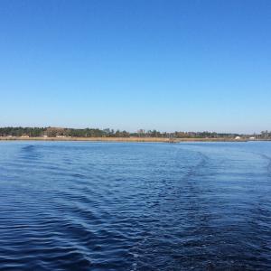 Photo of UNDER CONTRACT!  286 ac Waterfront Hunting Land for Sale in Hyde County NC!