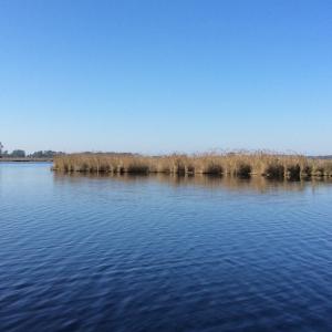 Photo of UNDER CONTRACT!  286 ac Waterfront Hunting Land for Sale in Hyde County NC!