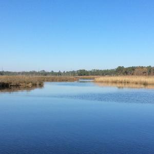 Photo of UNDER CONTRACT!  286 ac Waterfront Hunting Land for Sale in Hyde County NC!