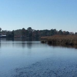 Photo of UNDER CONTRACT!  286 ac Waterfront Hunting Land for Sale in Hyde County NC!