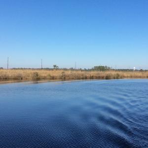 Photo of UNDER CONTRACT!  286 ac Waterfront Hunting Land for Sale in Hyde County NC!