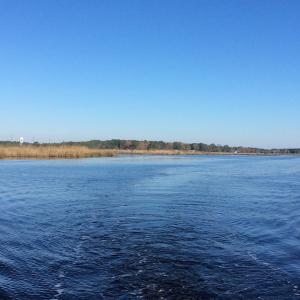 Photo of UNDER CONTRACT!  286 ac Waterfront Hunting Land for Sale in Hyde County NC!