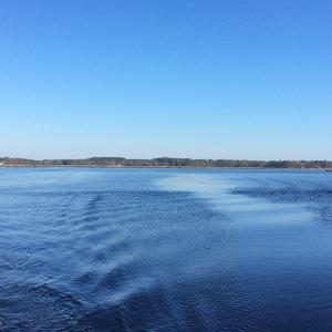 Photo of UNDER CONTRACT!  286 ac Waterfront Hunting Land for Sale in Hyde County NC!