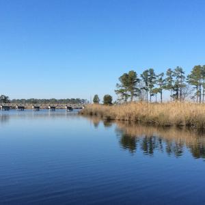 Photo of UNDER CONTRACT!  286 ac Waterfront Hunting Land for Sale in Hyde County NC!