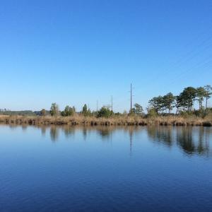 Photo of UNDER CONTRACT!  286 ac Waterfront Hunting Land for Sale in Hyde County NC!