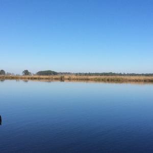 Photo of UNDER CONTRACT!  286 ac Waterfront Hunting Land for Sale in Hyde County NC!