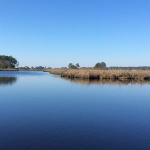 Photo of UNDER CONTRACT!  286 ac Waterfront Hunting Land for Sale in Hyde County NC!