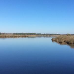 Photo of UNDER CONTRACT!  286 ac Waterfront Hunting Land for Sale in Hyde County NC!