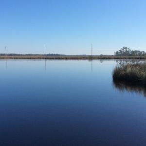 Photo of UNDER CONTRACT!  286 ac Waterfront Hunting Land for Sale in Hyde County NC!