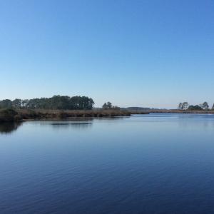 Photo of UNDER CONTRACT!  286 ac Waterfront Hunting Land for Sale in Hyde County NC!