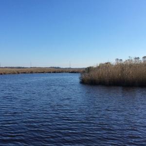 Photo of UNDER CONTRACT!  286 ac Waterfront Hunting Land for Sale in Hyde County NC!
