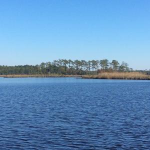 Photo of UNDER CONTRACT!  286 ac Waterfront Hunting Land for Sale in Hyde County NC!